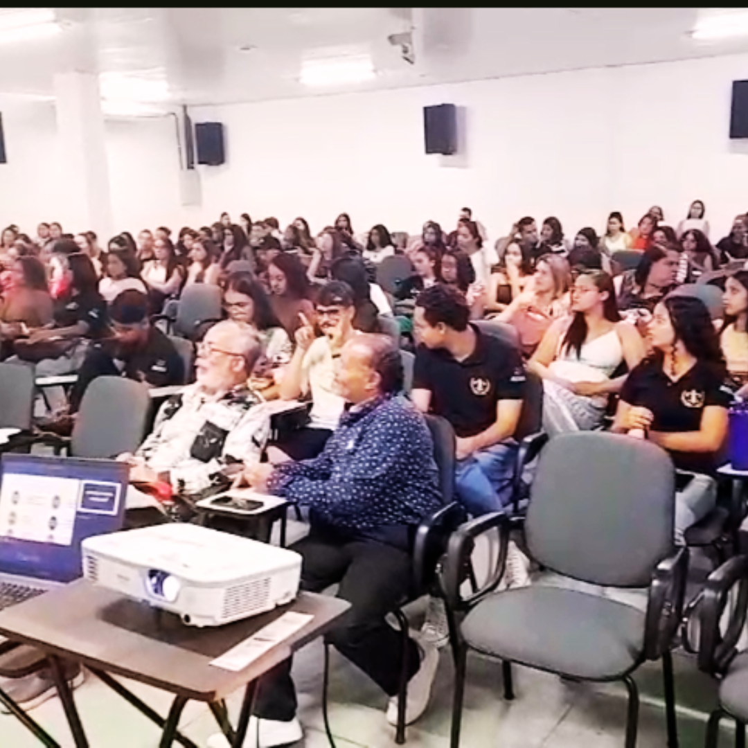 imagem5